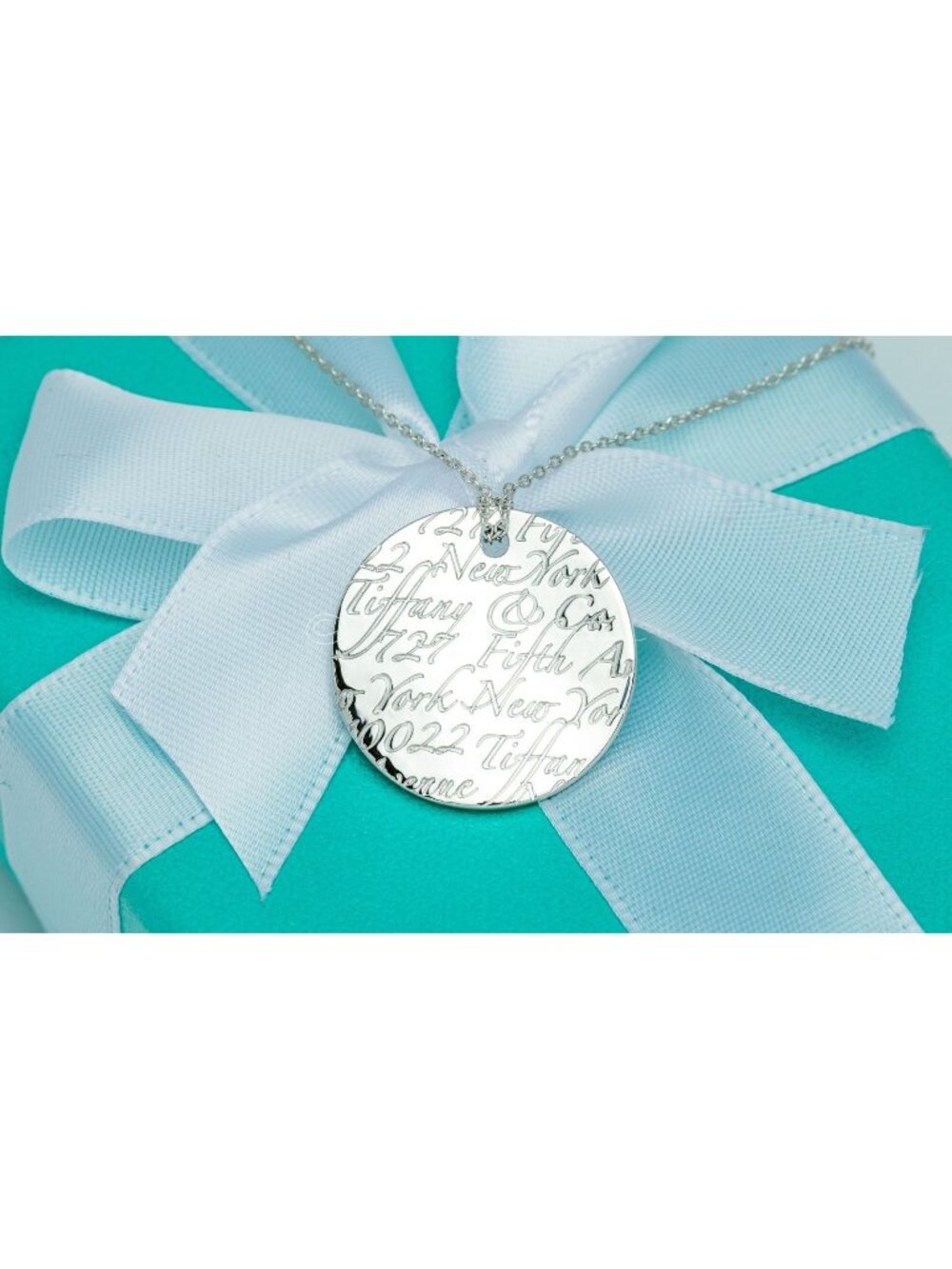 Tiffany & Co. Fifth Avenue New York Large Circle Medallion Necklace 20" Chain